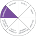 DOM-00-Domain-Chart-GOV-E